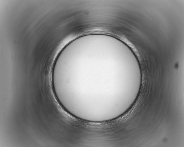 X0000099301474200805020745