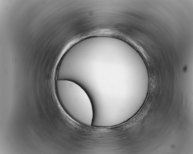 X0000099301475200805020745