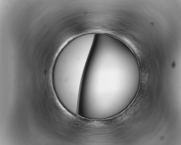 X0000099301476200805020745
