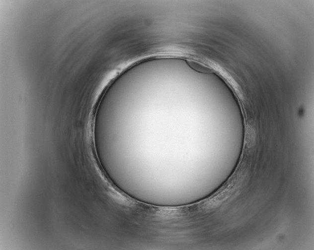 X0000099301477200805020745