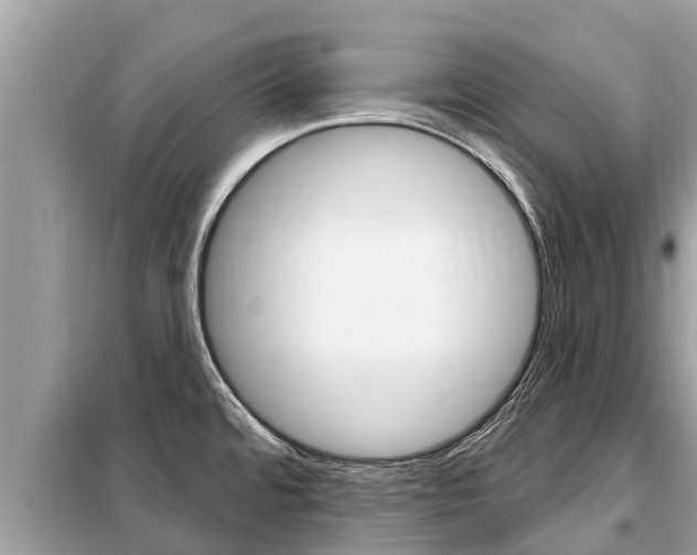 X0000099301480200805020745