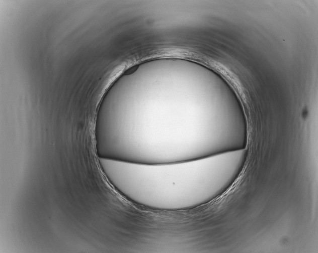 X0000099301481200805020745