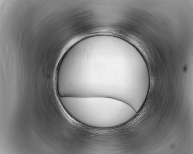 X0000099301482200805020745