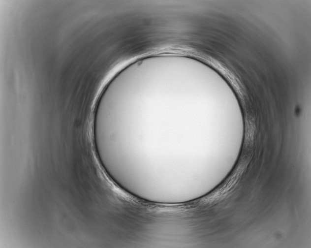 X0000099301486200805020745