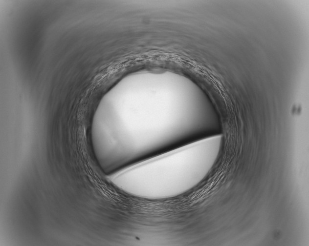 X0000099301489200805020744