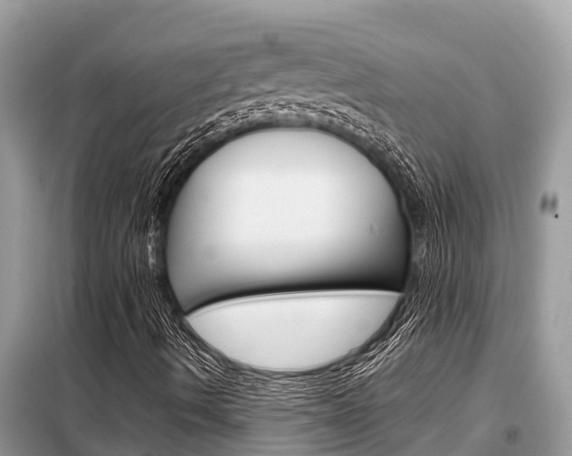 X0000099301490200805020744