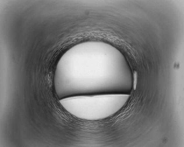 X0000099301491200805020744