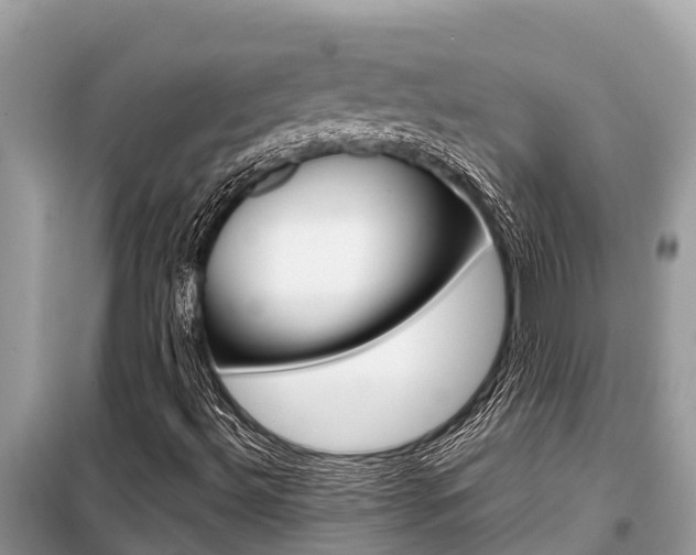 X0000099301492200805020744