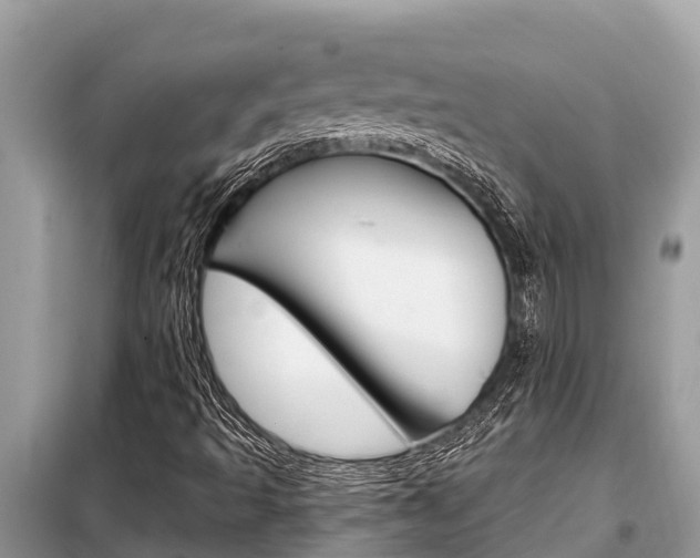 X0000099301493200805020744