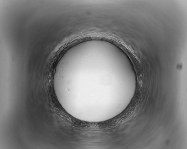 X0000099301495200805020744
