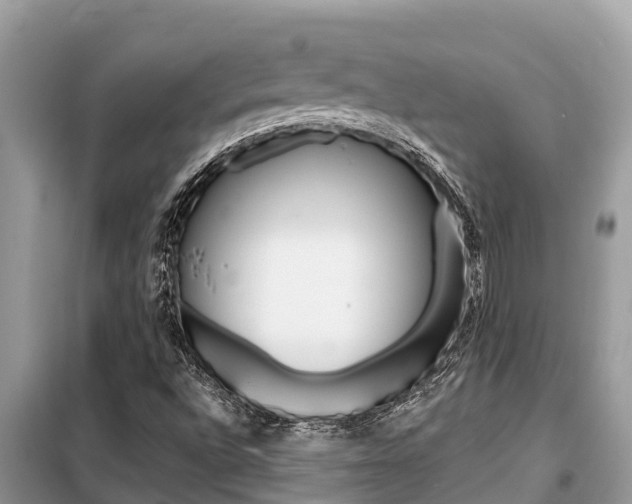 X0000099301496200805020744