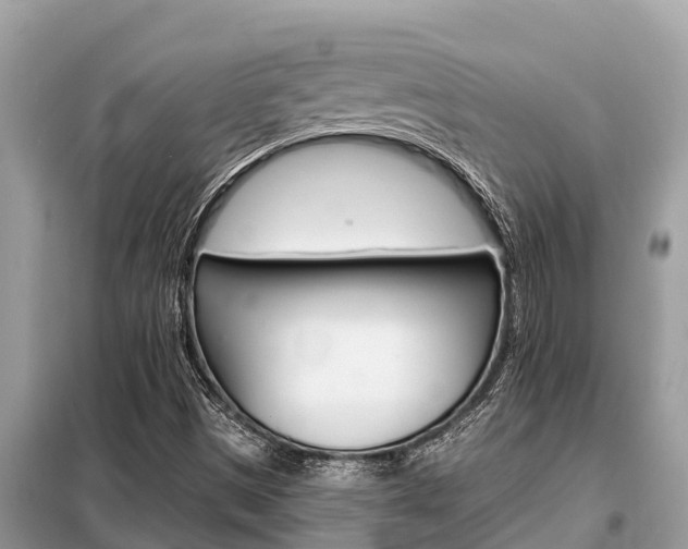 X0000099301497200805020744