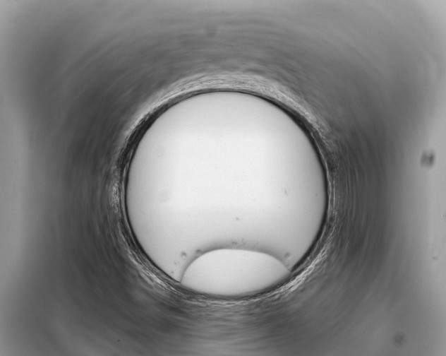 X0000099301498200805020744
