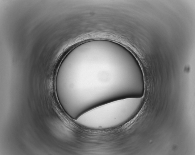 X0000099301499200805020744