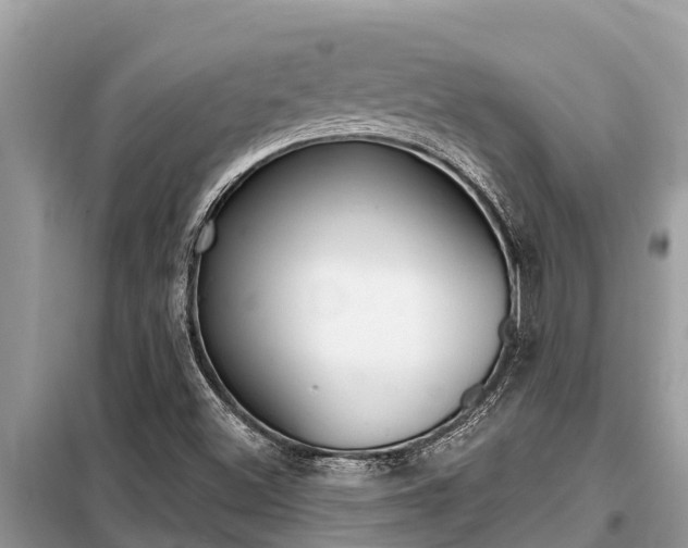 X0000099301500200805020744