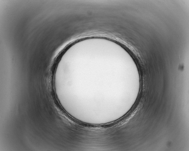 X0000099301502200805020744