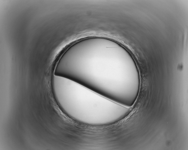 X0000099301503200805020744