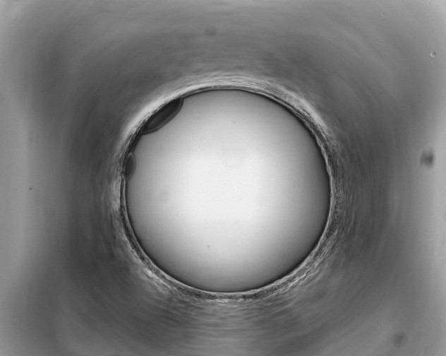 X0000099301504200805020744