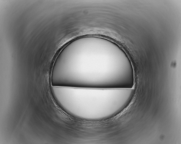 X0000099301505200805020744
