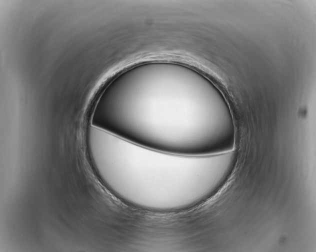 X0000099301506200805020744