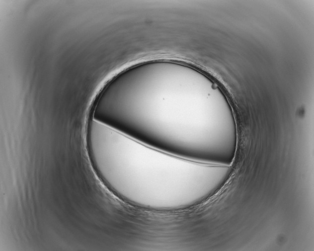 X0000099301508200805020744
