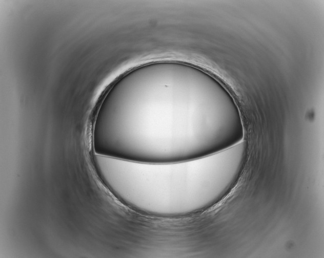 X0000099301510200805020744