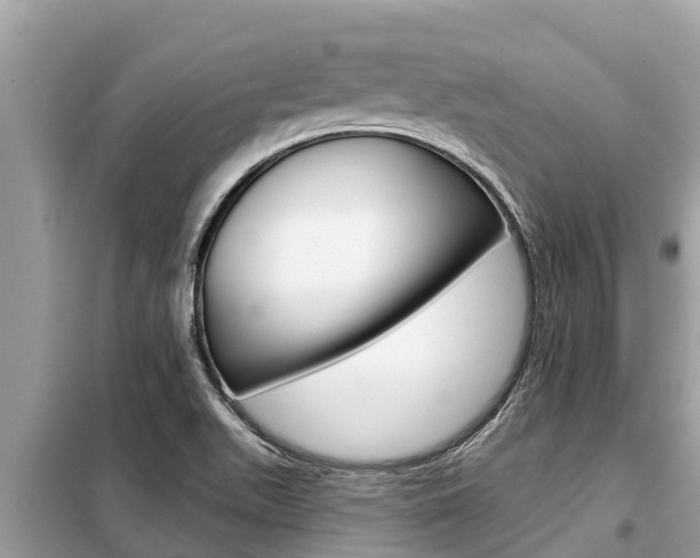 X0000099301511200805020744