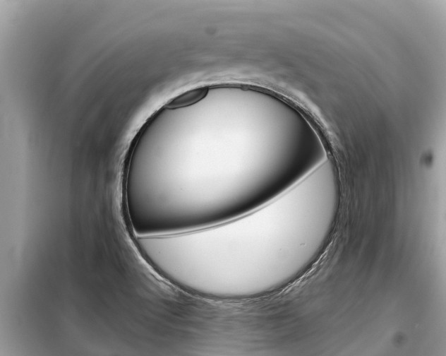 X0000099301512200805020744