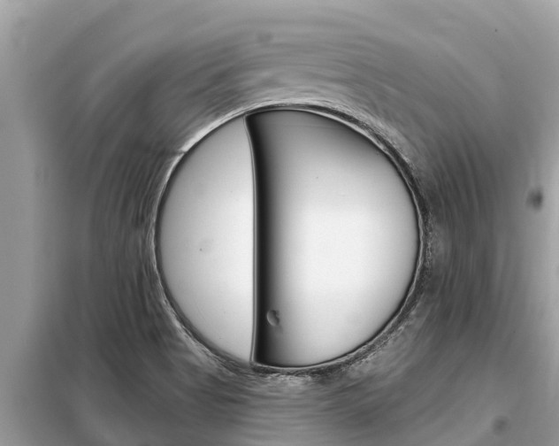 X0000099301513200805020744