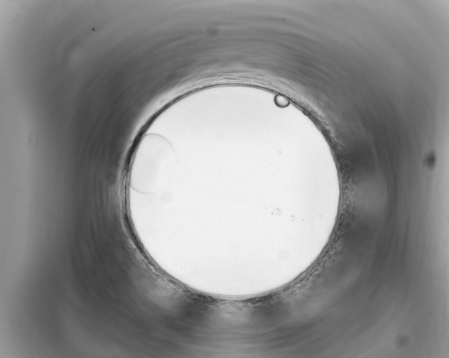X0000099301514200805020744