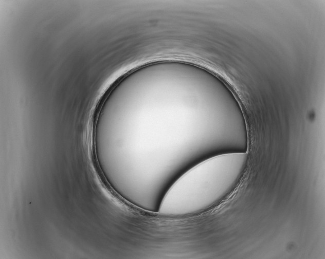 X0000099301515200805020744