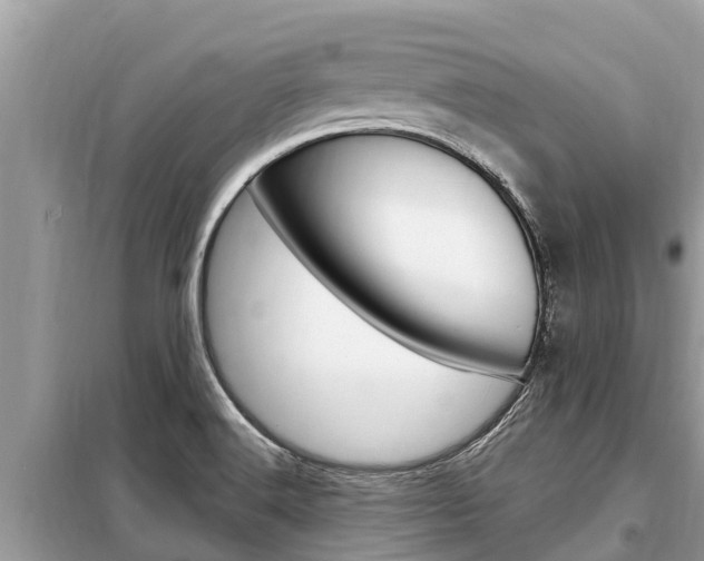 X0000099301516200805020744