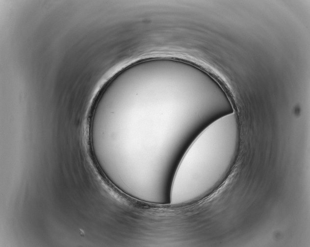 X0000099301517200805020744