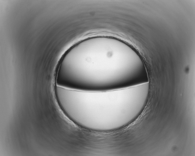 X0000099301518200805020744