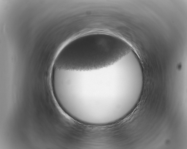 X0000099301519200805020744