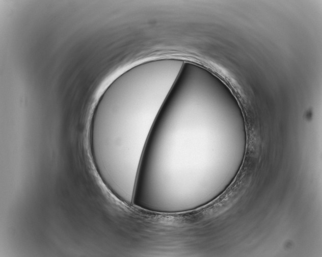 X0000099301520200805020744