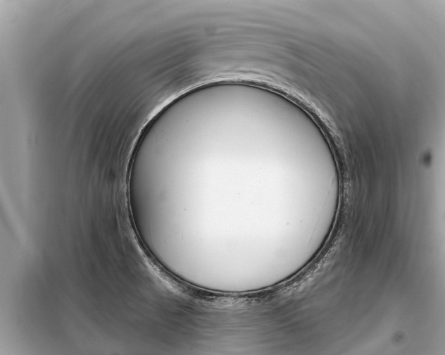 X0000099301521200805020744
