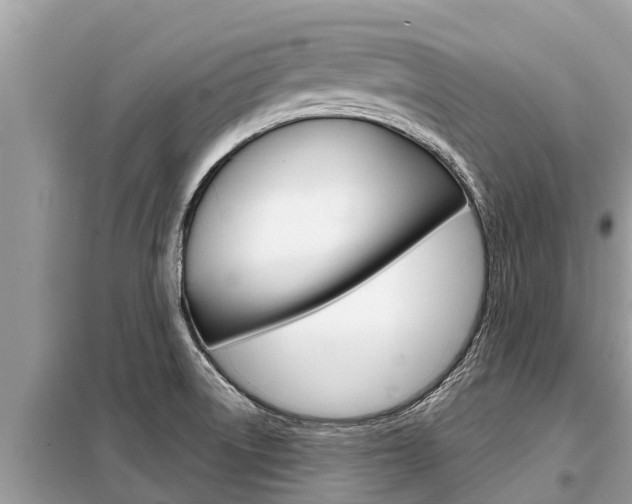 X0000099301522200805020745