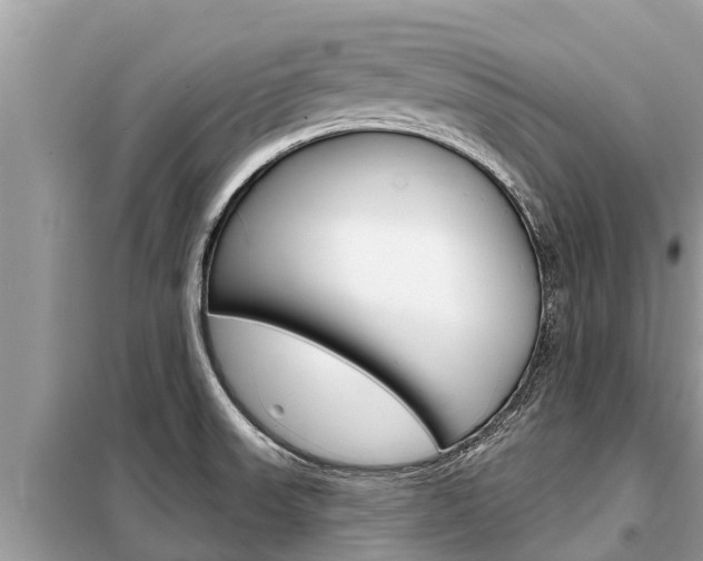 X0000099301523200805020745