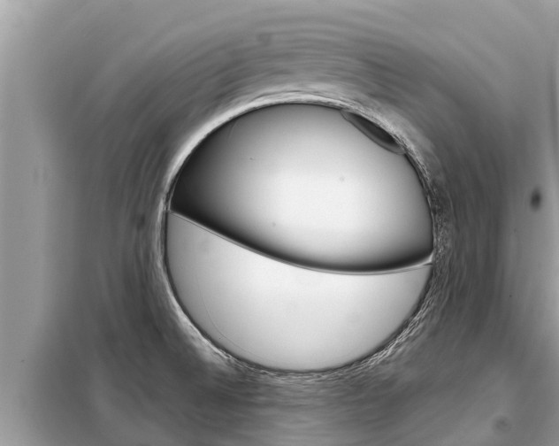 X0000099301524200805020745