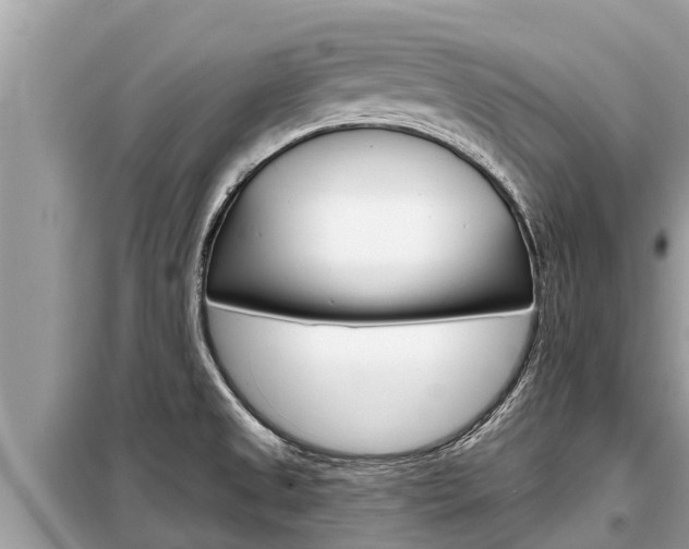 X0000099301525200805020745