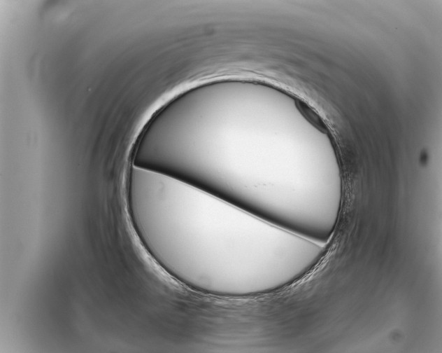 X0000099301526200805020745
