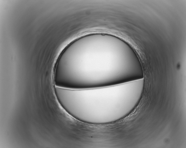 X0000099301527200805020745