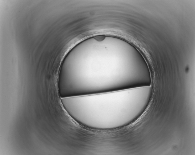 X0000099301529200805020745