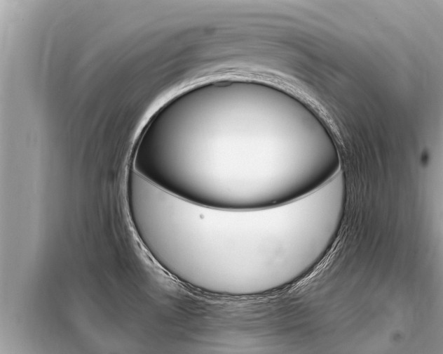 X0000099301530200805020745