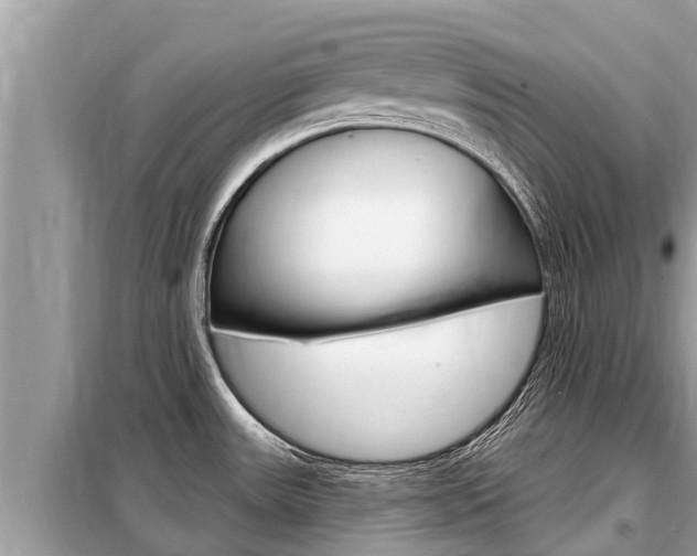 X0000099301531200805020745