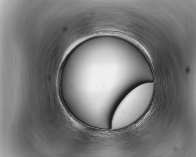 X0000099301533200805020745