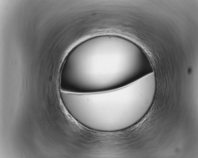 X0000099301534200805020745