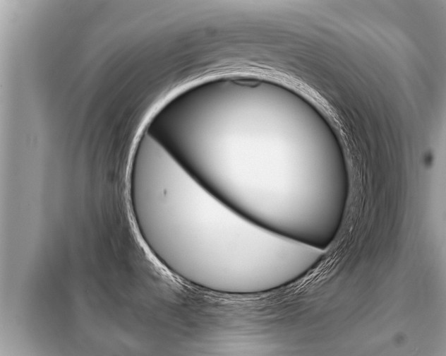 X0000099301536200805020745