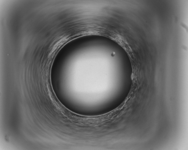 X0000099300001200805021241